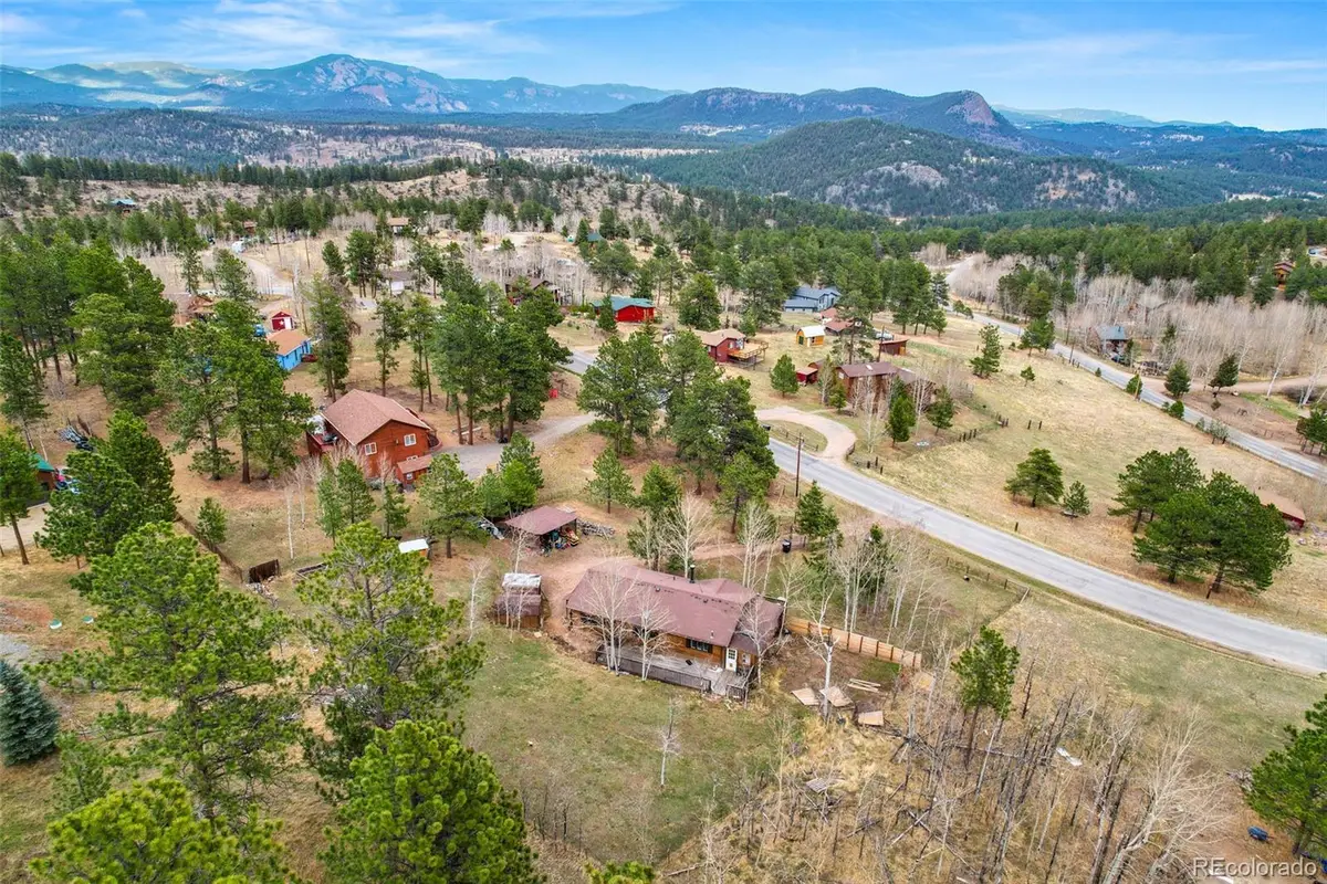 312 S Pine Drive, Bailey, CO 80421 - #1