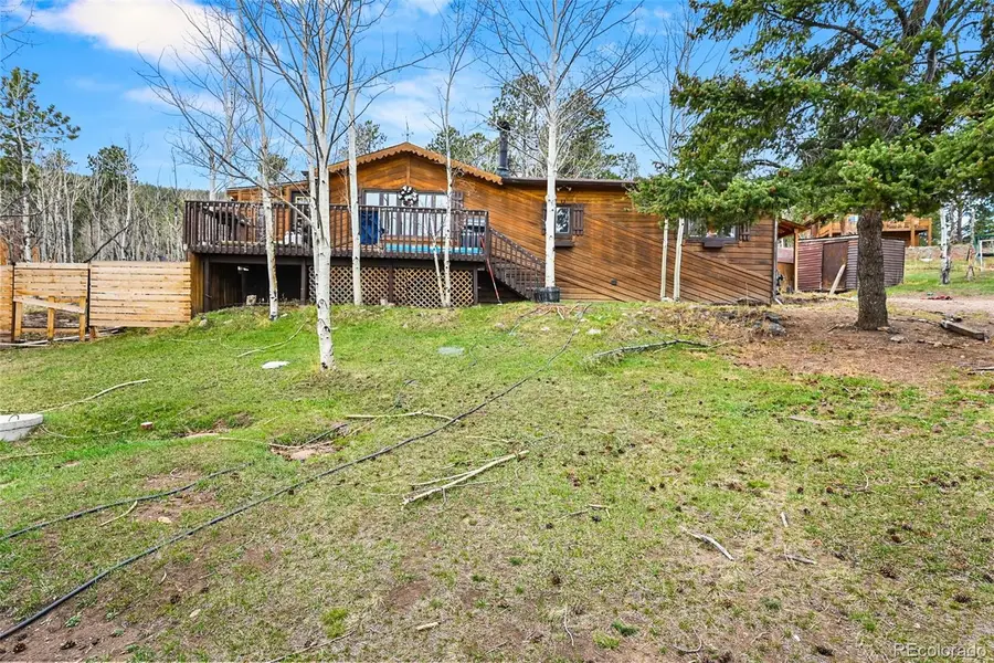 312 S Pine Drive, Bailey, CO 80421 - #2