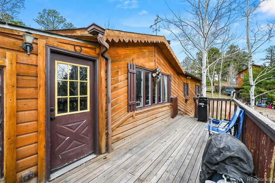 312 S Pine Drive, Bailey, CO 80421 - #3