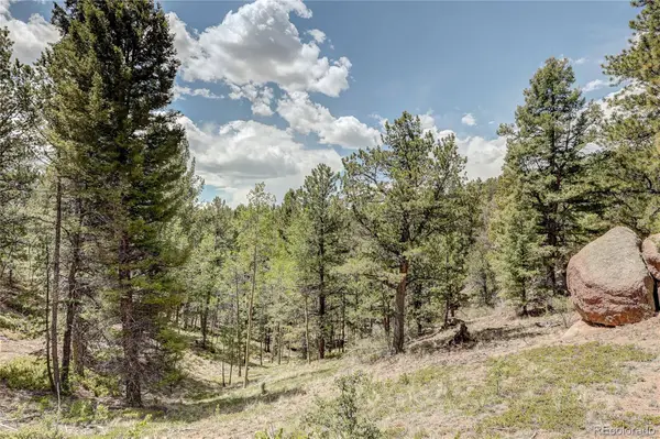 59 Robin Point, Divide, CO 80814