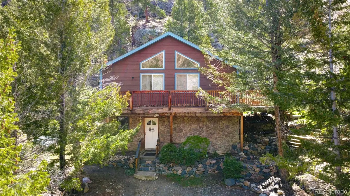 1206 Biddle Street, Georgetown, CO 80444 - #1