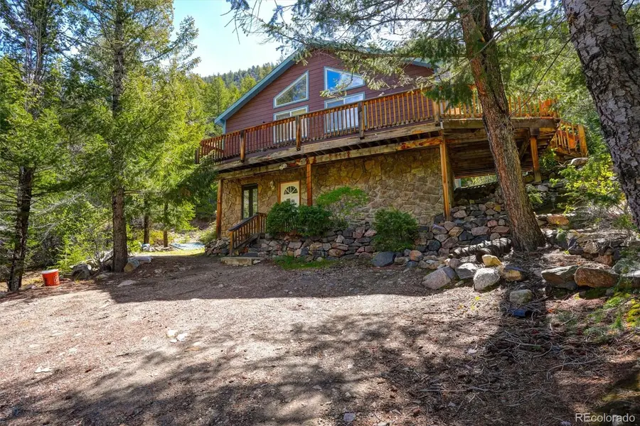 1206 Biddle Street, Georgetown, CO 80444 - #2