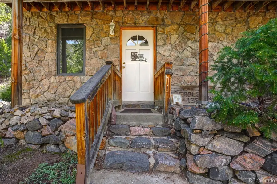 1206 Biddle Street, Georgetown, CO 80444 - #3