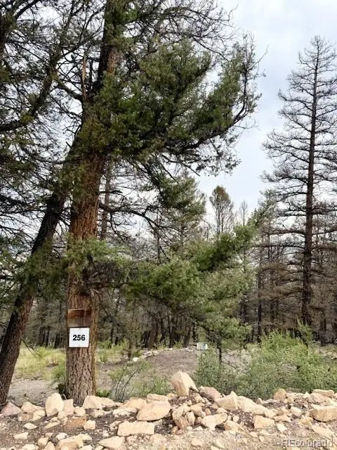 0 Middle Fork Vista, Fairplay, CO 80440 - #1