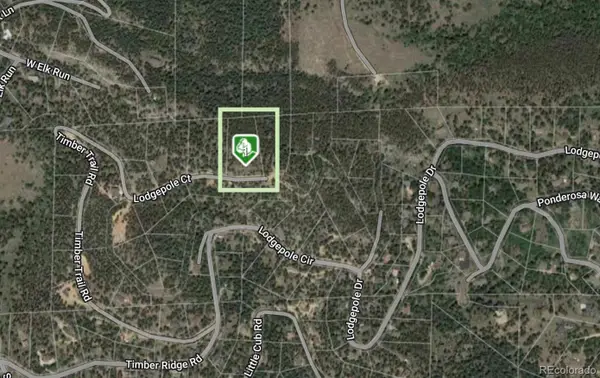 32593 Lodgepole Drive, Evergreen, CO 80439