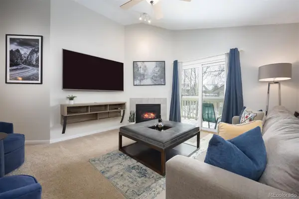 1517 Point Drive #202, Frisco, CO 80443