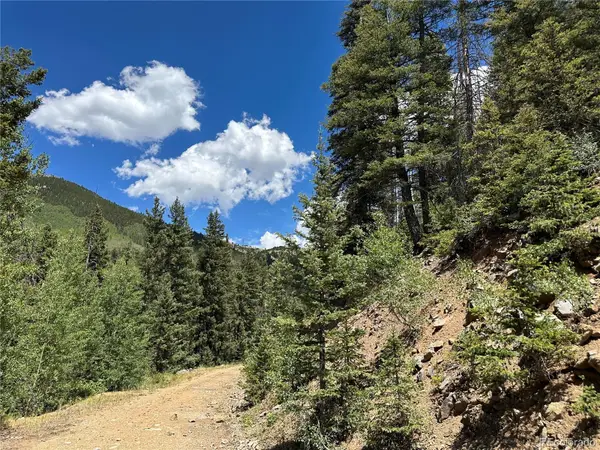 Ryland Road, Fort Garland, CO 81133