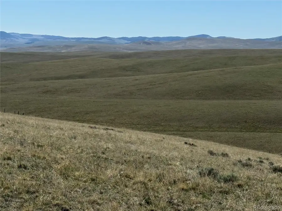 96 Angus Circle, Hartsel, CO 80449 - Image #2