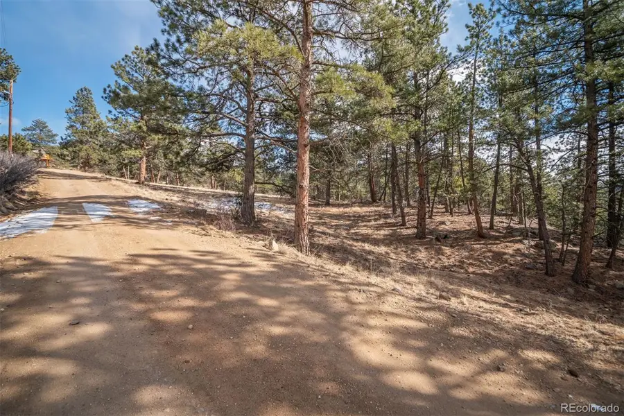 260 Bailey Drive, Bailey, CO 80421 - #3