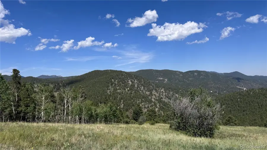 002 Mac Rock Road, Central City, CO 80427 - #2