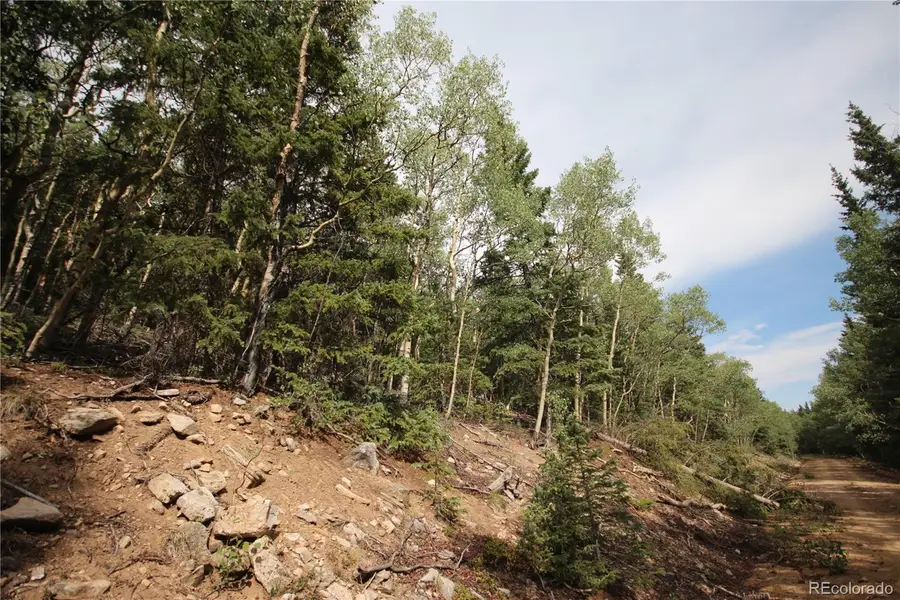 Lot 6573 Ackerman, San Luis, CO 81152 - #3