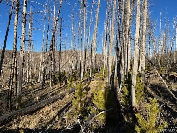 Lot 1502 Vonheyl Lane, Fort Garland, CO 81133