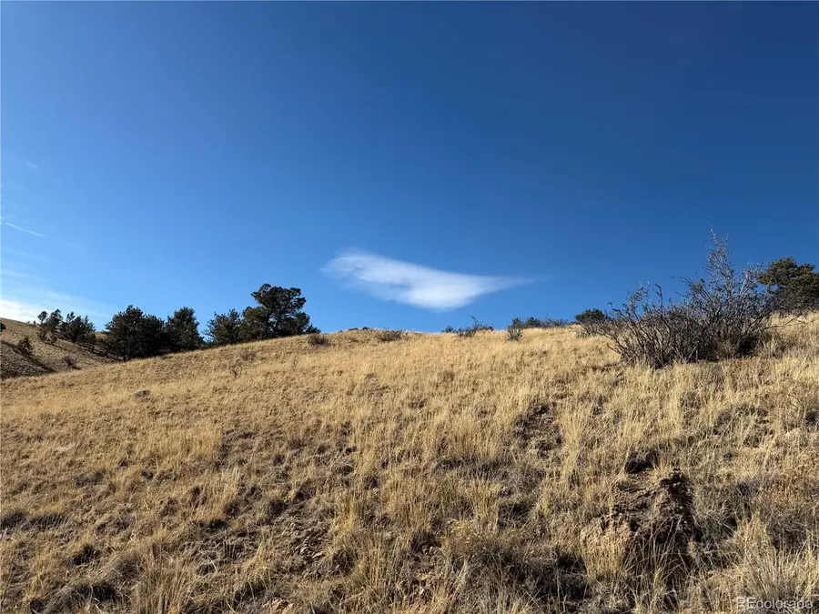 Oak Street, Hartsel, CO 80449 - #3