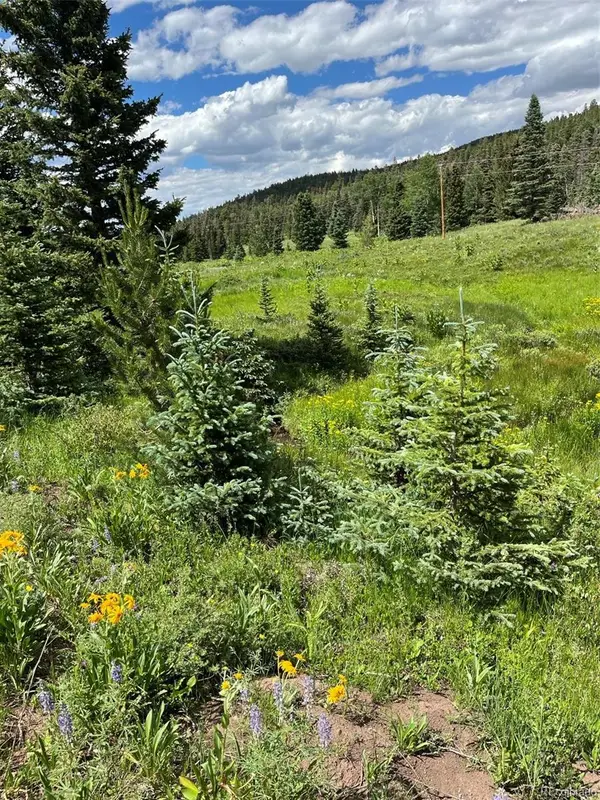 Lot 3091 Sterenson Place, Fort Garland, CO 81133