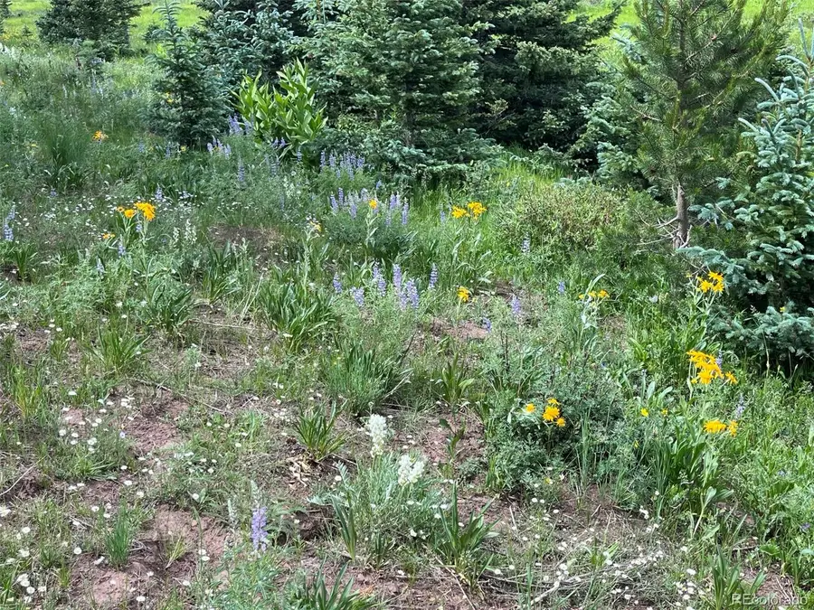 Lot 3091 Sterenson Place, Fort Garland, CO 81133 - #3