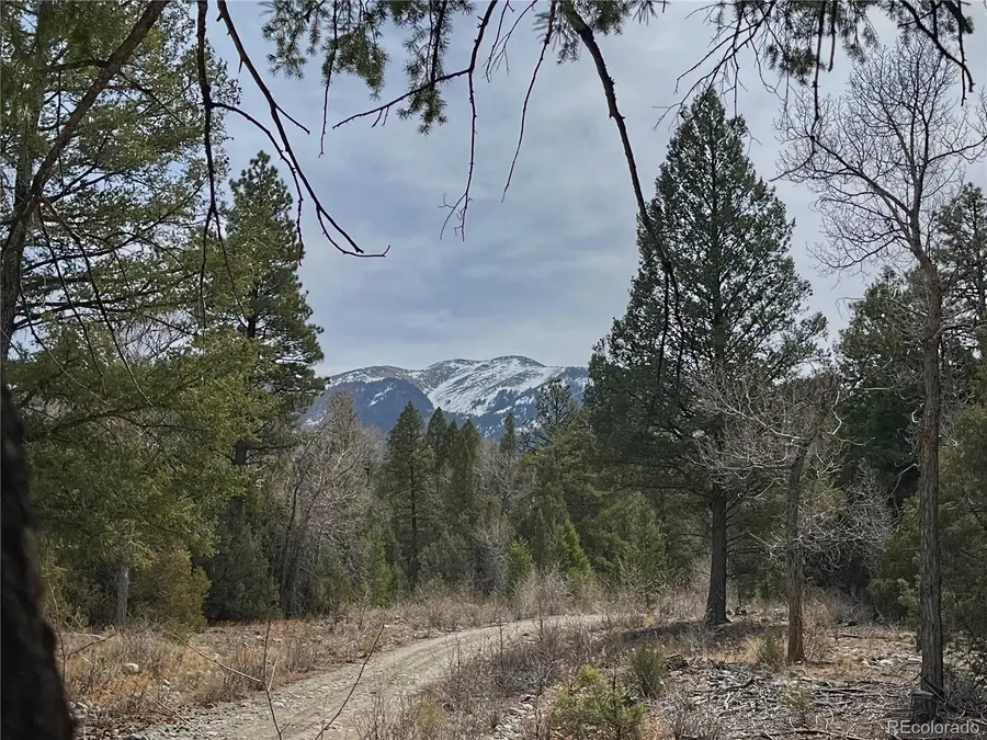 54 & 56 Big Bear Road, Mosca, CO 81146 - Image #3