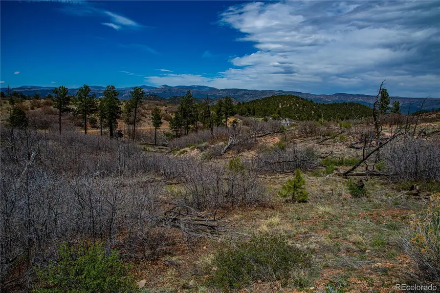 221 Cottonwood Drive, Cotopaxi, CO 81223 - Image #2