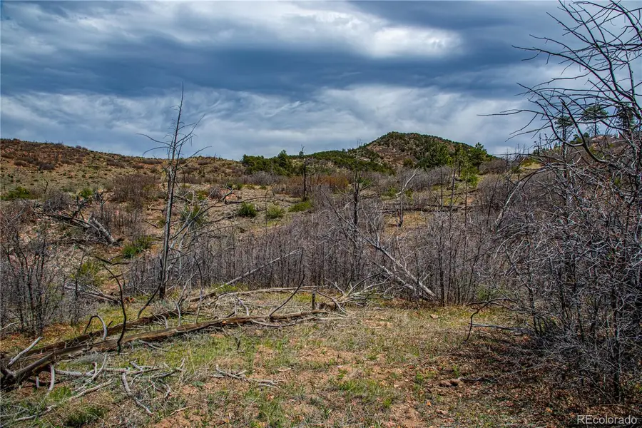 221 Cottonwood Drive, Cotopaxi, CO 81223 - Image #3