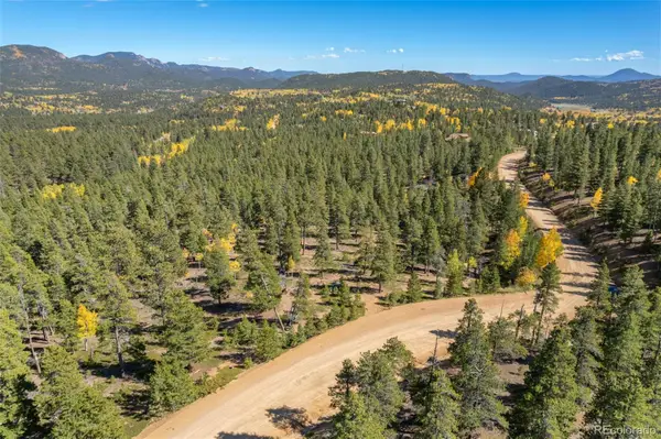 1001 Royal Ridge Drive, Bailey, CO 80421