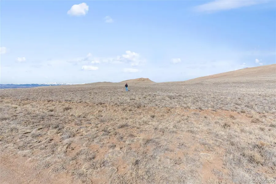 Siouan Trail, Hartsel, CO 80449 - #3