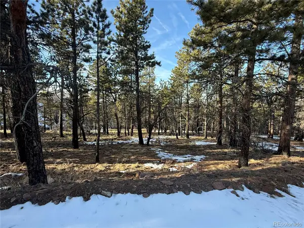 Lot 356 Spangle Drive, Fort Garland, CO 81133