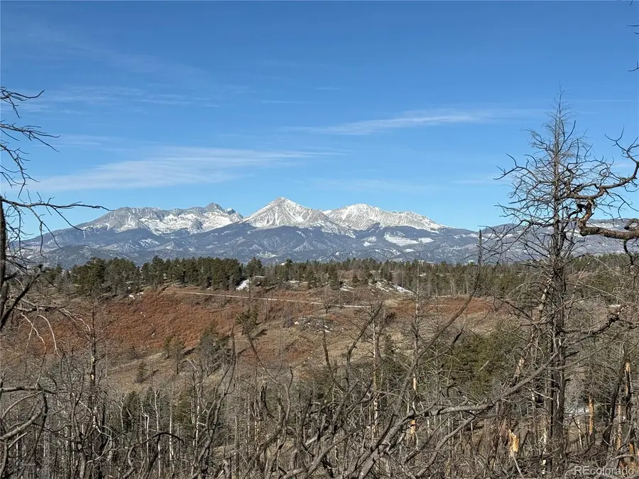 Lot 356 Spangle Drive, Fort Garland, CO 81133 - #3