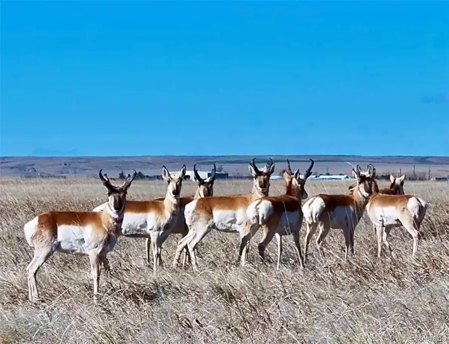 Parcel 3 S County Road 185, Byers, CO 80103 - #2