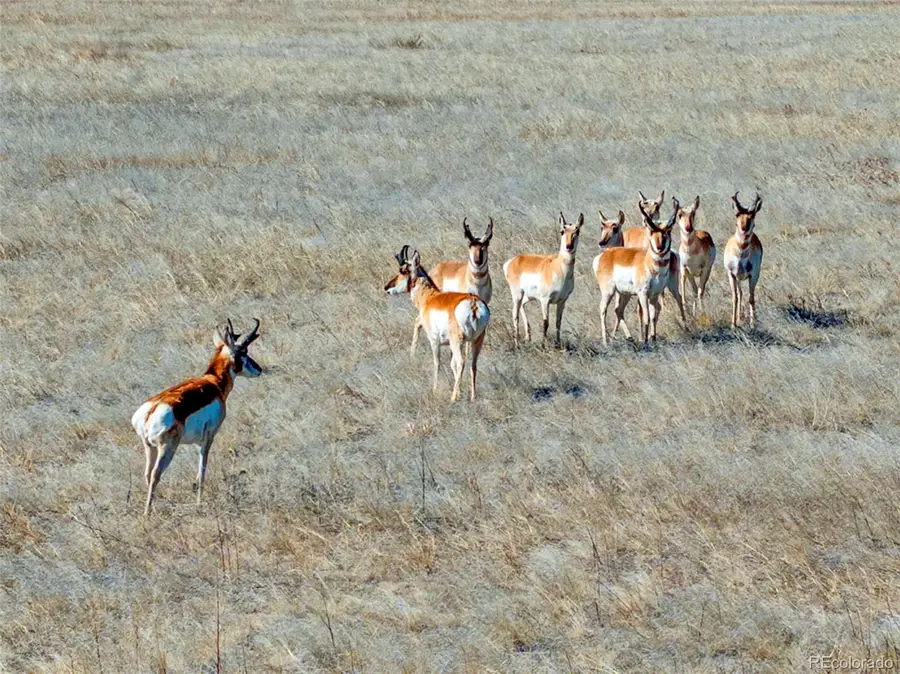 Parcel 3 S County Road 185, Byers, CO 80103 - #3