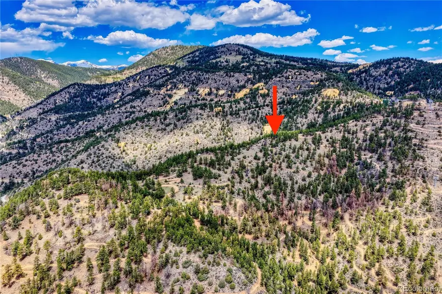 Lots 1 & 2 Gertrude Edgardine, Idaho Springs, CO 80452 - #3