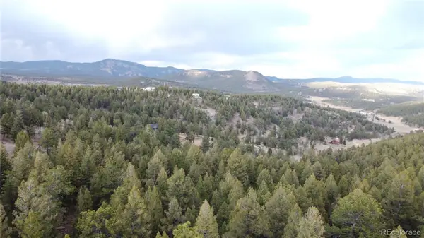 Delwood Drive, Bailey, CO 80421