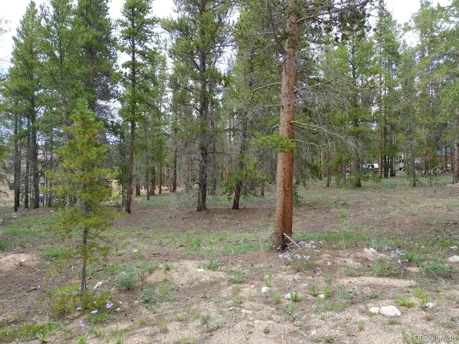 849 Topaz Street, Leadville, CO 80461 - #2