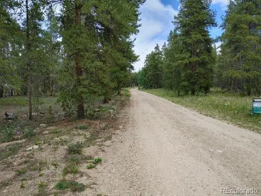 849 Topaz Street, Leadville, CO 80461 - #3
