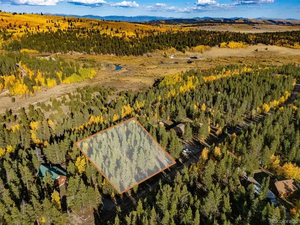 250 Ski Doo Road, Fairplay, CO 80440