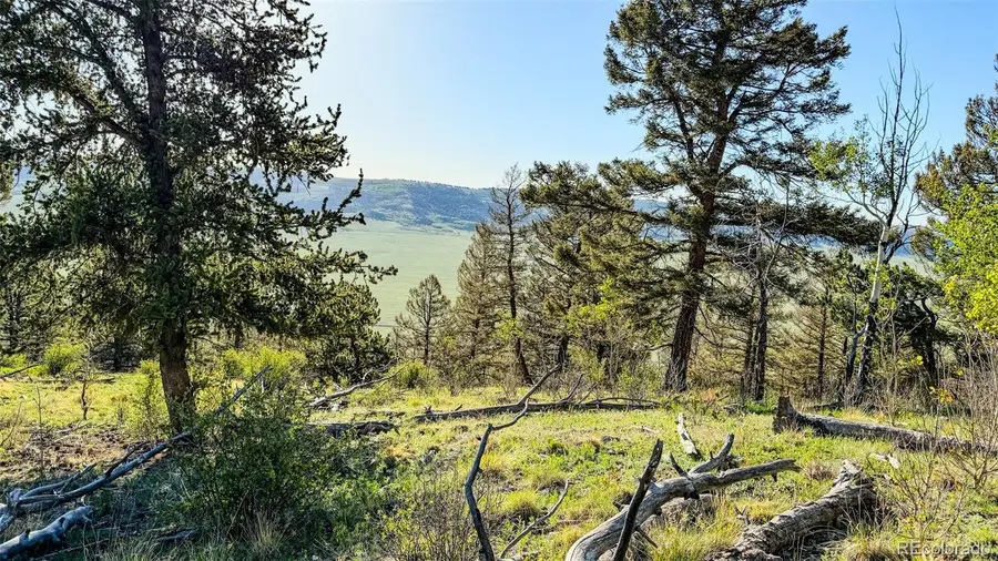 4924 Middle Fork Vista, Fairplay, CO 80440 - #3