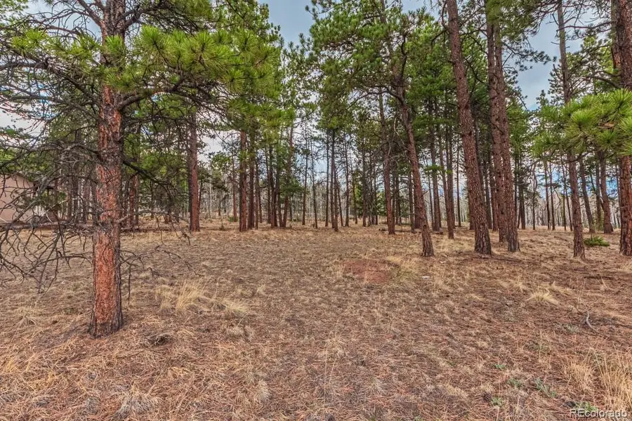 1290 Firestone Drive, Woodland Park, CO 80863 - Image #2