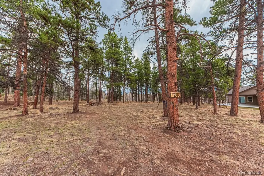 1290 Firestone Drive, Woodland Park, CO 80863 - Image #3