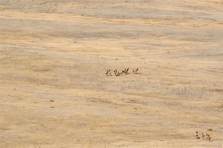 0 Highway 83, Castle Rock, CO 80104 - #3