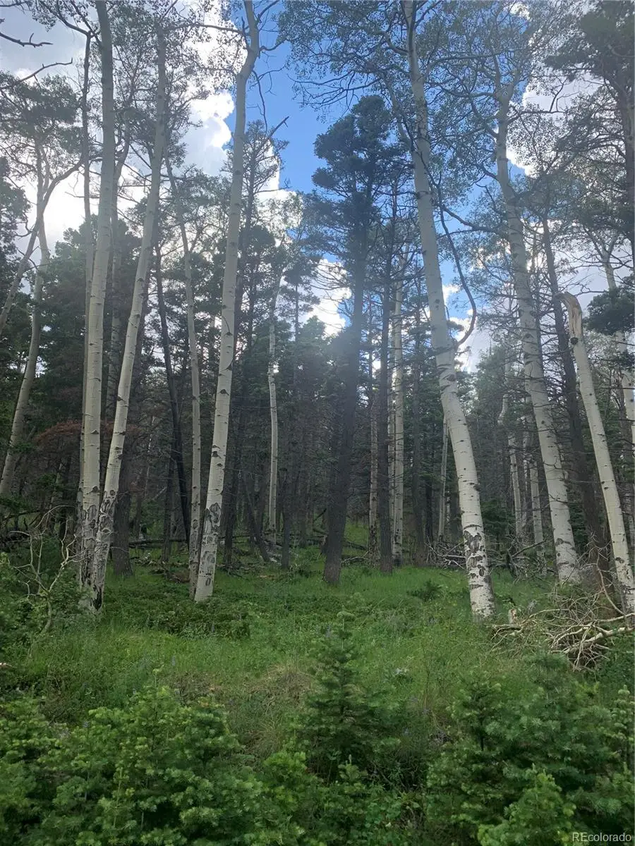 2952 Larry Place, Fort Garland, CO 81133 - #2