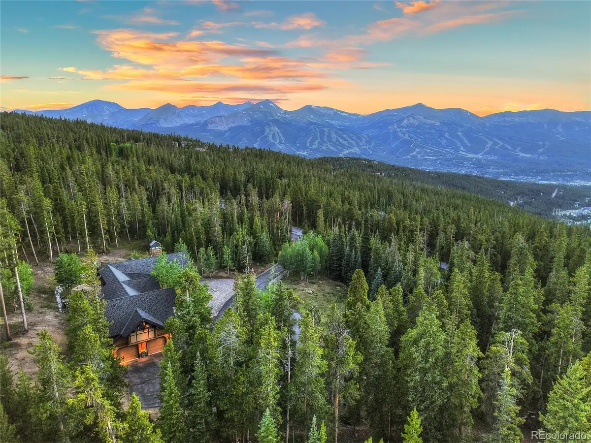 264 Little Sallie Barber Trail, Breckenridge, CO 80424 - #1