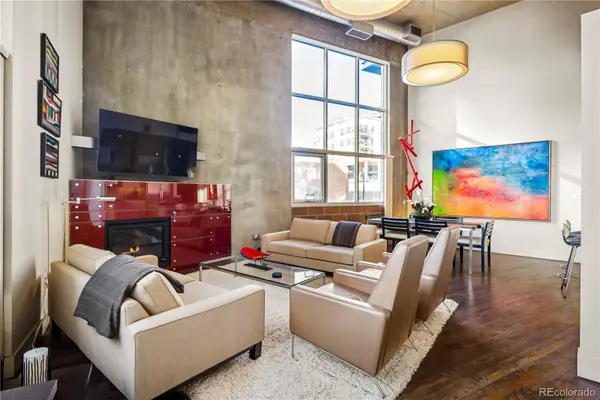 1050 Cherokee Street #201, Denver, CO 80204