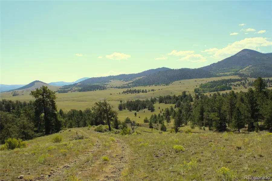 State 9 Highway, Guffey, CO 80820 - Image #2