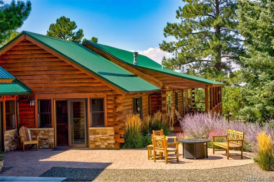 236 Mill Run Road, Mosca, CO 81146 - #3