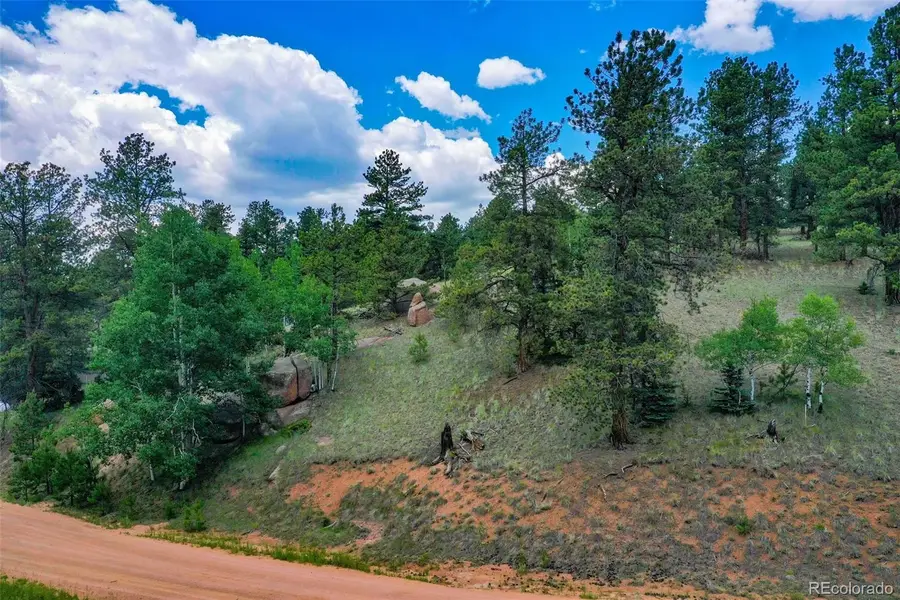 549 Spring Valley Lane, Florissant, CO 80816 - #3