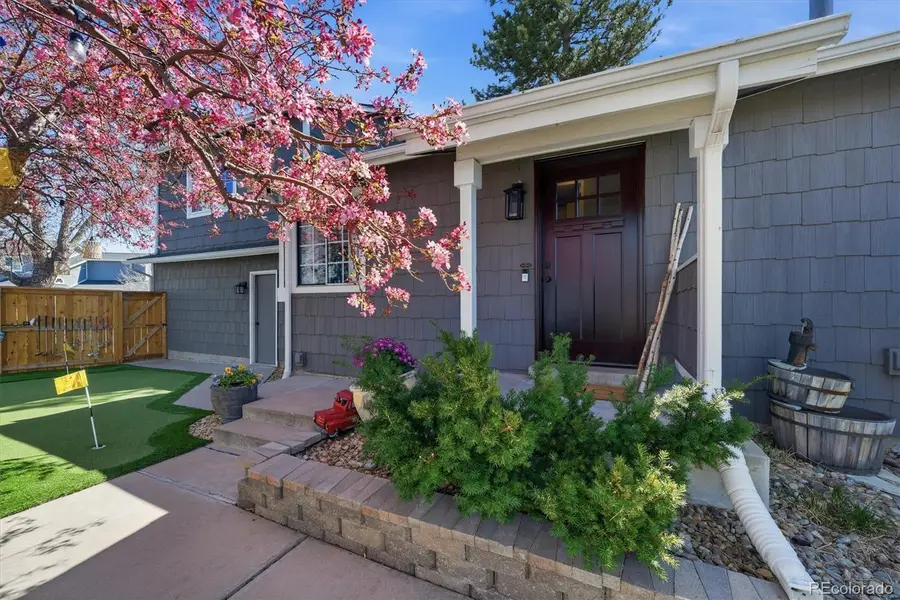 508 Longfellow Lane, Highlands Ranch, CO 80126 - #3