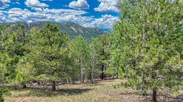 24 Wild Horse Circle, Cripple Creek, CO 80813