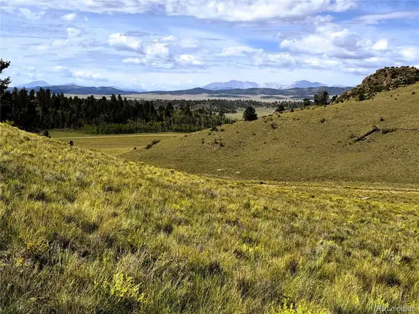 8390 Chickasaw Road, Hartsel, CO 80449