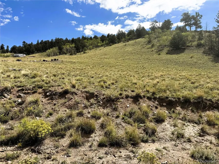 8390 Chickasaw Road, Hartsel, CO 80449 - #2