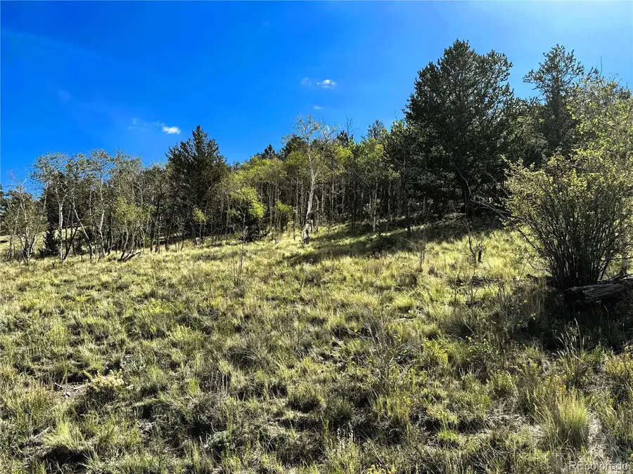 8390 Chickasaw Road, Hartsel, CO 80449 - #3