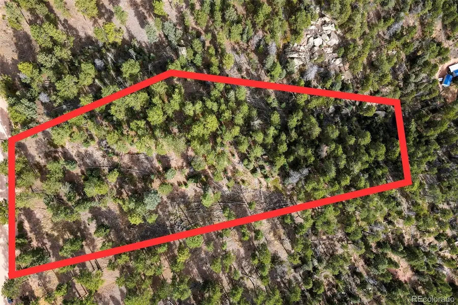 13948 Boulder Lane, Larkspur, CO 80118 - Image #3