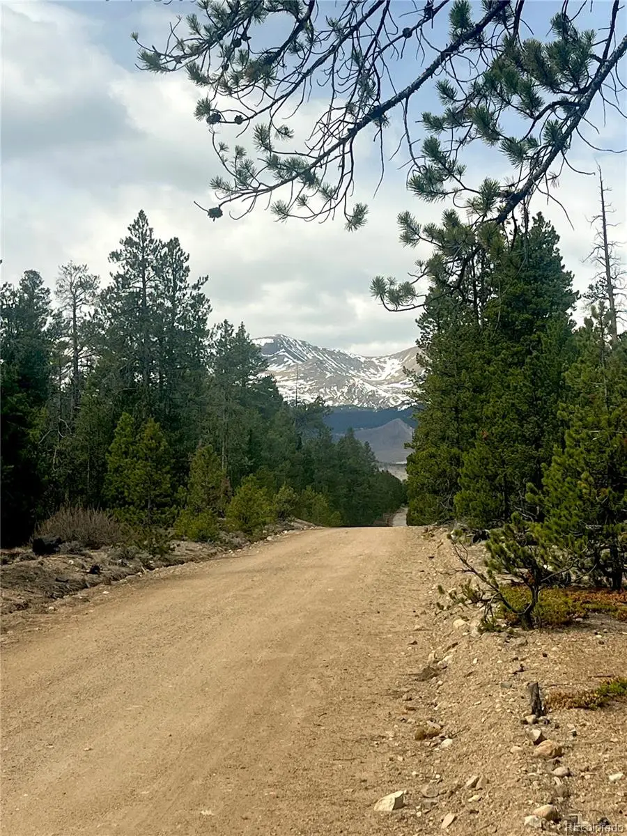 105 Fir Drive, Leadville, CO 80461 - #1